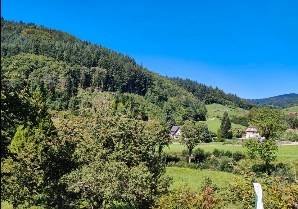 Ferienhaus „Bergblick“ Urlaub im Schwarzwald in Seebach