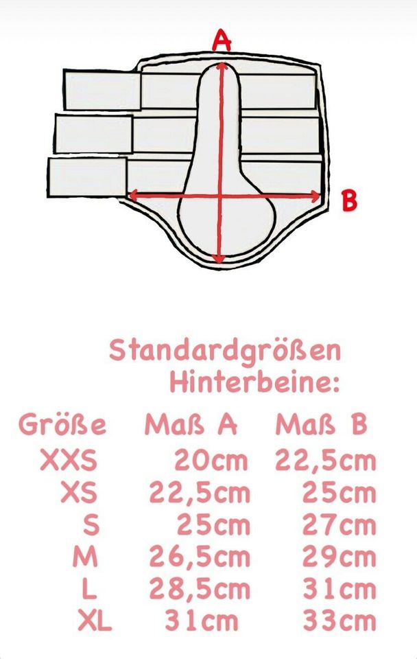 Leder Gamaschen Trainingsgamaschen viele Farben und Größen in Heßdorf