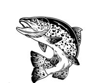 ‼️Haben Fische‼️ Vegesack - Grohn Vorschau