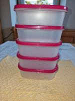 Tupperware Eidgenossen 0,5l brombeer Tupper Bayern - Straubing Vorschau