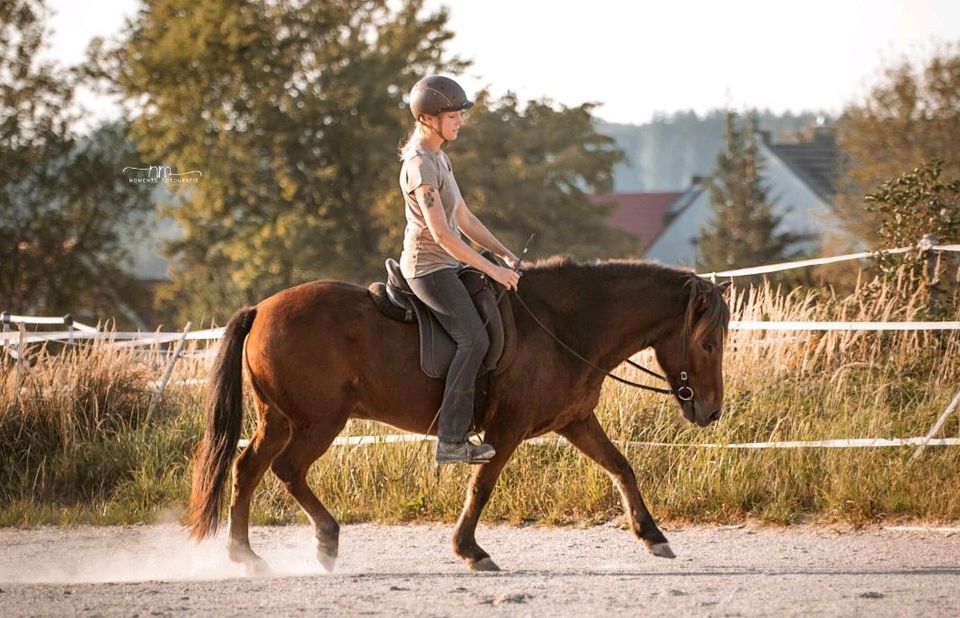Gesundes Pferdetraining nach klassischen Grundsätzen in Langenneufnach
