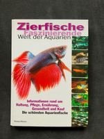 Zierfische – Faszinierende Welt der Aquarien Kiel - Kronshagen Vorschau