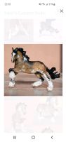 Benicio Mini Resin von Sue Kern - änhl. Breyer / Schleich Nordrhein-Westfalen - Gevelsberg Vorschau