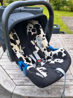 Babyschale Römer + Isofix fürs Auto Rostock - Gehlsdorf Vorschau