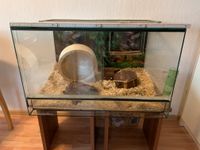 Glasterrarium, Hamsterkäfig, Reptilienrarium Bayern - Nittendorf  Vorschau