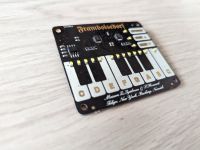 Framboisedorf Piano HAT für RPi 2 Model B und RPi Model A+/B+ Stuttgart - Stuttgart-Süd Vorschau