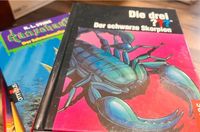 7x Gruselbücher/ Kinderbücher (Set)/ Die drei ???/ Gänsehaut Bayern - Lauf a.d. Pegnitz Vorschau