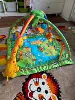 Fisher Price Spielbogen Hessen - Gründau Vorschau