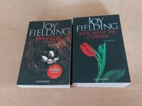 Joy Fielding Thriller  Roman Brandenburg - Blankenfelde-Mahlow Vorschau