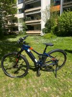 Haibike SDURO CROSS 5.0 Bayern - Germering Vorschau