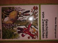 " Geschichten vom Zwieselchen " Kinderbuch * älter * süß * Thüringen - Leinefelde-Worbis Vorschau