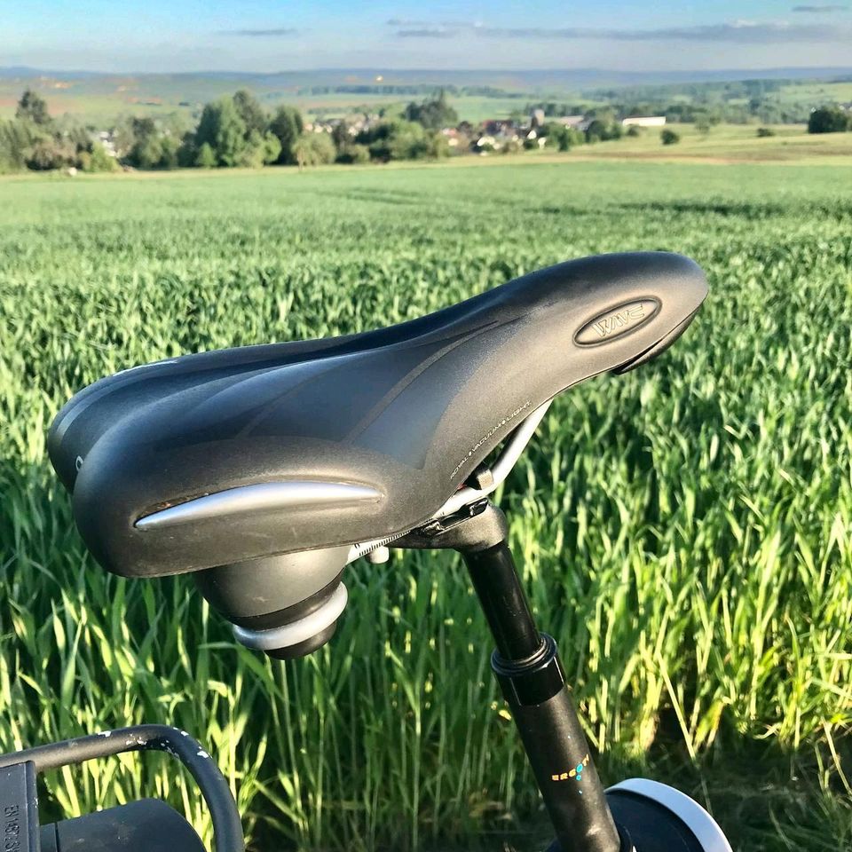 Elektro-Fahrrad 28 Zoll in Dornburg