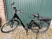 E-Bike Velo de Ville Damenrad Nordrhein-Westfalen - Kempen Vorschau