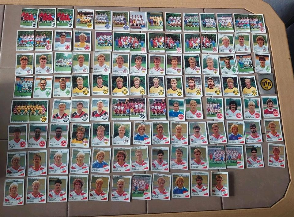 Panini Fußball Bundesliga 1990 ca 200 Stück in Pasewalk