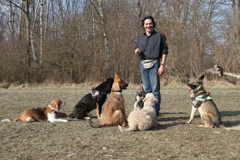 Hundeschule - Basic-Gruppe in Augsburg