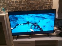 Riesen smart TV Neupreis 400 euro Niedersachsen - Celle Vorschau