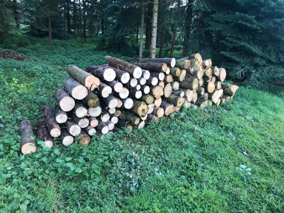 Brennholz Kaminholz Holz Feuerholz in Steinfurt