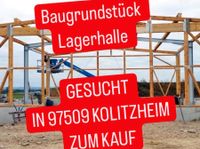SUCHE Lagerhalle / Halle / Baugrundstück / Scheune in KOLITZHEIM Bayern - Grettstadt Vorschau
