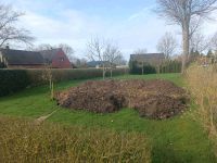 Mutterboden | teilweise Steine enthalten | Lehmig Schleswig-Holstein - Achtrup Vorschau