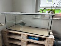 Aquarium für Wasserschildkröten Bayern - Hof (Saale) Vorschau