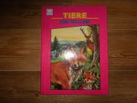 HEMMA ~ Vintage ~ Tierbuch ~ Suzanne Langer ~ Tiere des Waldes Sachsen - Neundorf  Vorschau