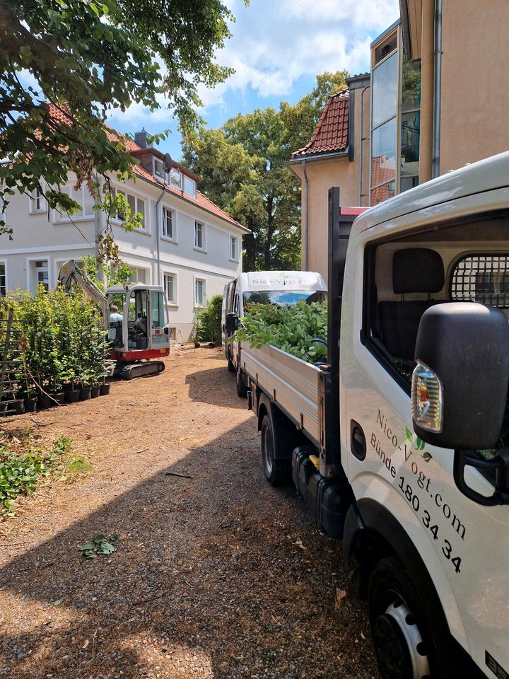 Landschaftsgärtner/in, Gärtner/in, Quereinsteiger in Bünde