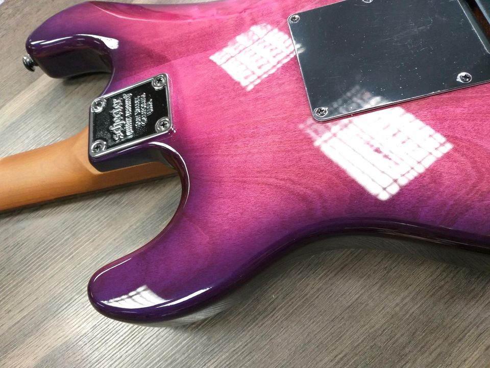 Schecter E-Gitarre Traditional Pro TPB Trans Purple Burst NEU! in Aachen