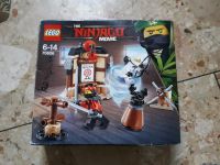 Lego Ninjago 70606 komplett / gebraucht Rheinland-Pfalz - Eppenrod Vorschau