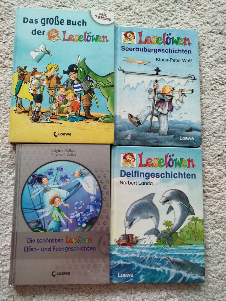 Leselöwen Bücher für die Kinder 1 Klasse in Braunschweig