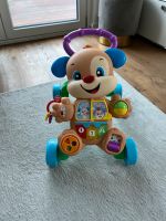 Fisher Price Lauflernhilfe Lernspaß Frankfurt am Main - Harheim Vorschau