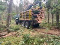 Forstarbeiten, Holzeinschlag, Holztransport, Spezialbaumfällung Bayern - Hallerndorf Vorschau