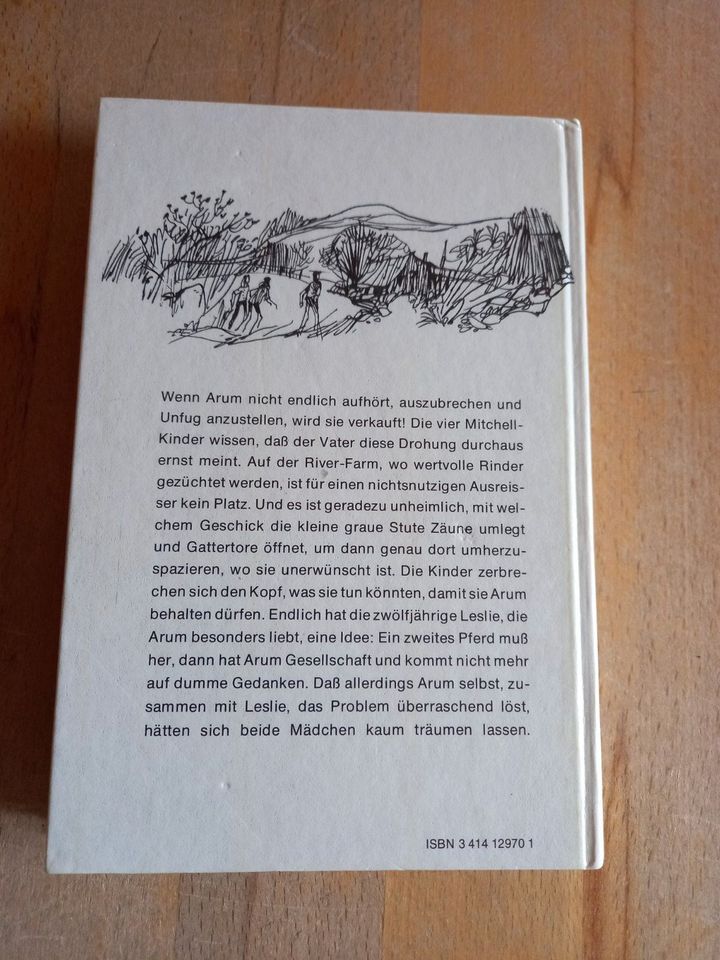 Kinderbuch "Ein Pferd fehlt auf der River-Farm" Farrell, 1980 in Rohrbach