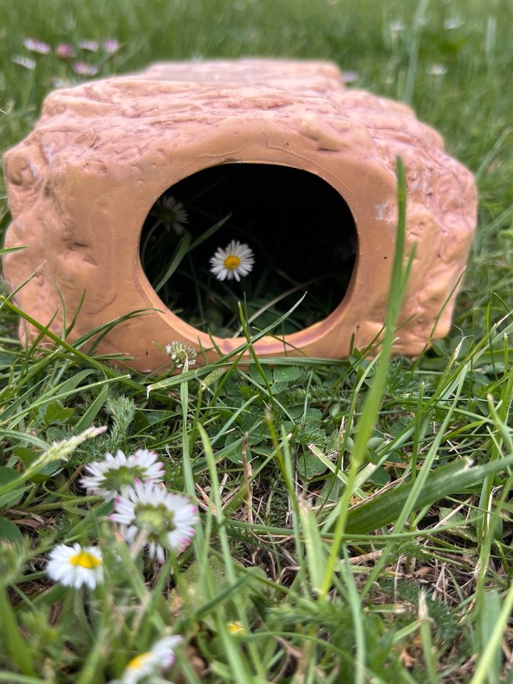 Rodipet Keramik Nagerfelsen, Größe S, Hamster/ Mäuse ❤️ in Berlin