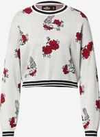 Hollister Feinstrick Pullover für Damen Berlin - Treptow Vorschau