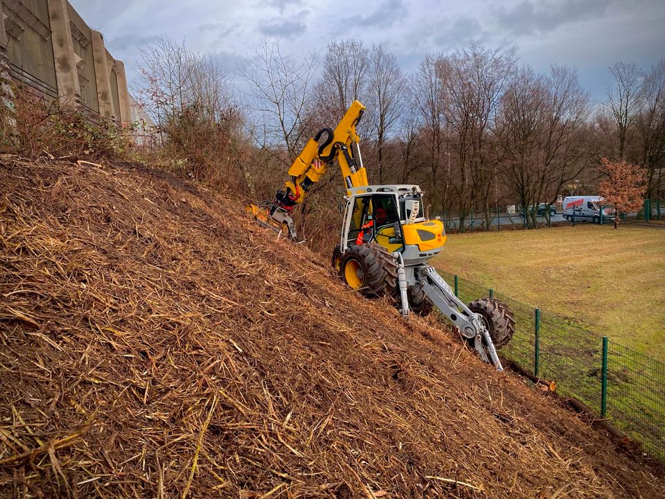 Schreitbaggerarbeiten Menzi Muck Schreitbagger in Berne