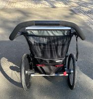 Thule Chariot Lite 1 Fahrradanhänger Sachsen - Adorf-Vogtland Vorschau