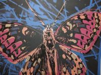 Andy Warhol "3D Butterfly" Lithografie 50 x 35 cm limit. GERAHMT! Nordrhein-Westfalen - Gronau (Westfalen) Vorschau