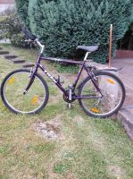 Trek 800 Sport Crossrad Bochum - Bochum-Nord Vorschau