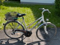 Fahrrad 28 Zoll Pegasus Hessen - Wiesbaden Vorschau