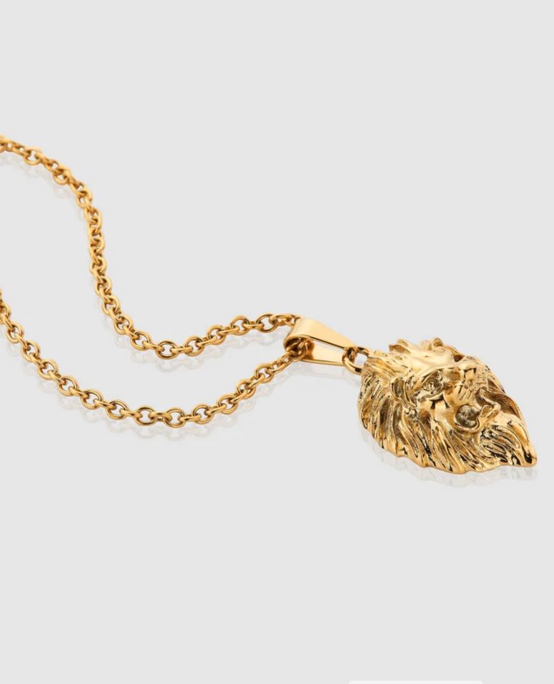 Halskette mit Löwenkopf - Gold in Bordesholm