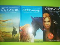 3x Ostwind Bücher - Neuwertig! Thüringen - Suhl Vorschau