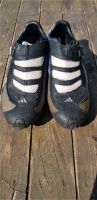 ADIDAS Rennrad & MTB Schuhe zu verschenken , Gr. 46, blau/ weiß Niedersachsen - Drestedt Vorschau