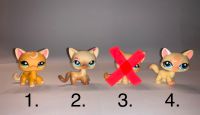 Littlest Pet Shop LPS Shorthair cat Katze Nordrhein-Westfalen - Wilnsdorf Vorschau