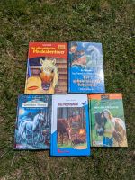 Pferdegeschichten Bücher Niedersachsen - Hohenhameln Vorschau
