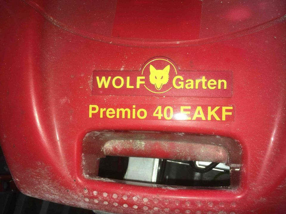 Elektrorasenmäher Wolf in Helmstedt