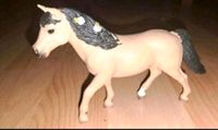 Schleich Connemara Pony Stute 13863 Brandenburg - Teltow Vorschau