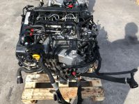 MOTOR DFH 2.0 TDI 190 PS AUDI SEAT SKODA VW KOMPLETT 23.812KM Niedersachsen - Braunschweig Vorschau