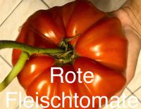 Rote Fleisch Tomaten Harburg - Hamburg Heimfeld Vorschau