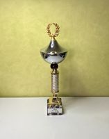 Pokal Turnier - 1. Platz TNT Turnier Bielefeld 1995, ca 35cm hoch Nordrhein-Westfalen - Bocholt Vorschau