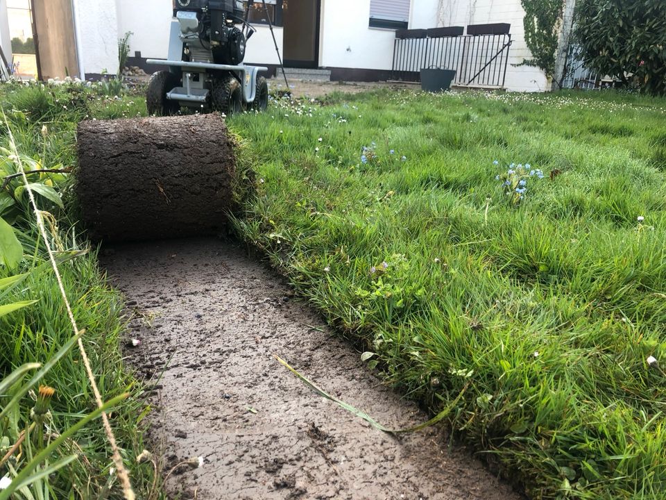 Rollrasen Verlegen, Automatische Bewässerung, Smart Garten! in Frankfurt am Main